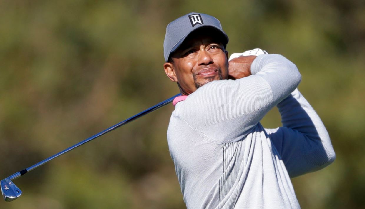 tiger woods_361982