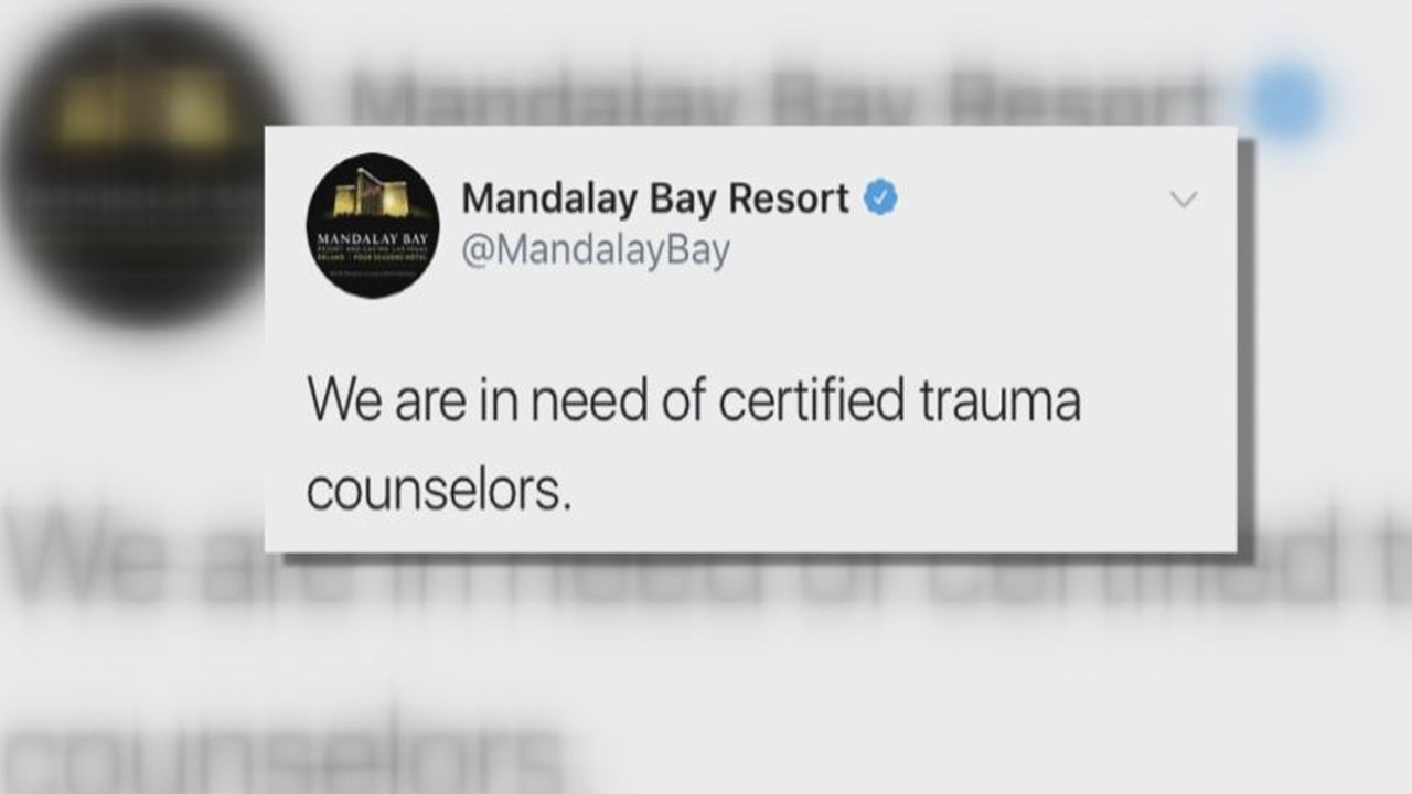 trauma-counselors_355301
