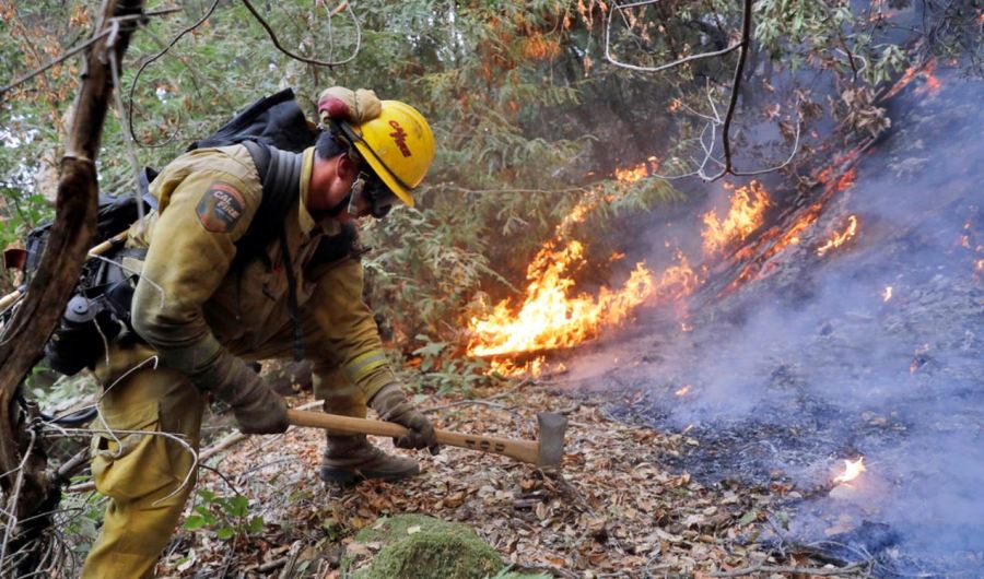 wildfire_358998