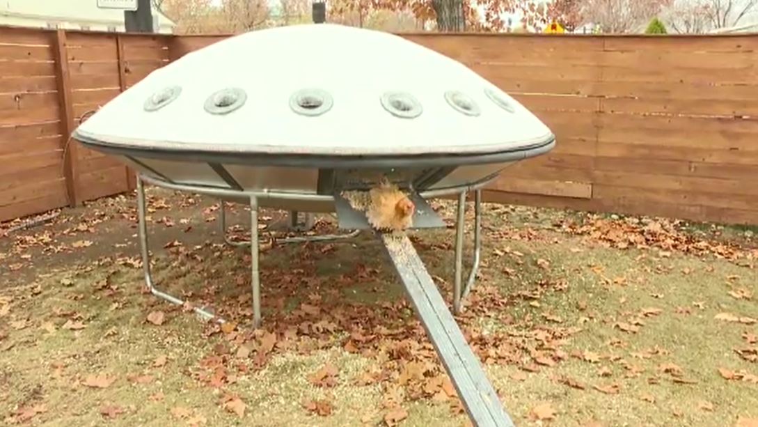 chickencoop_364489