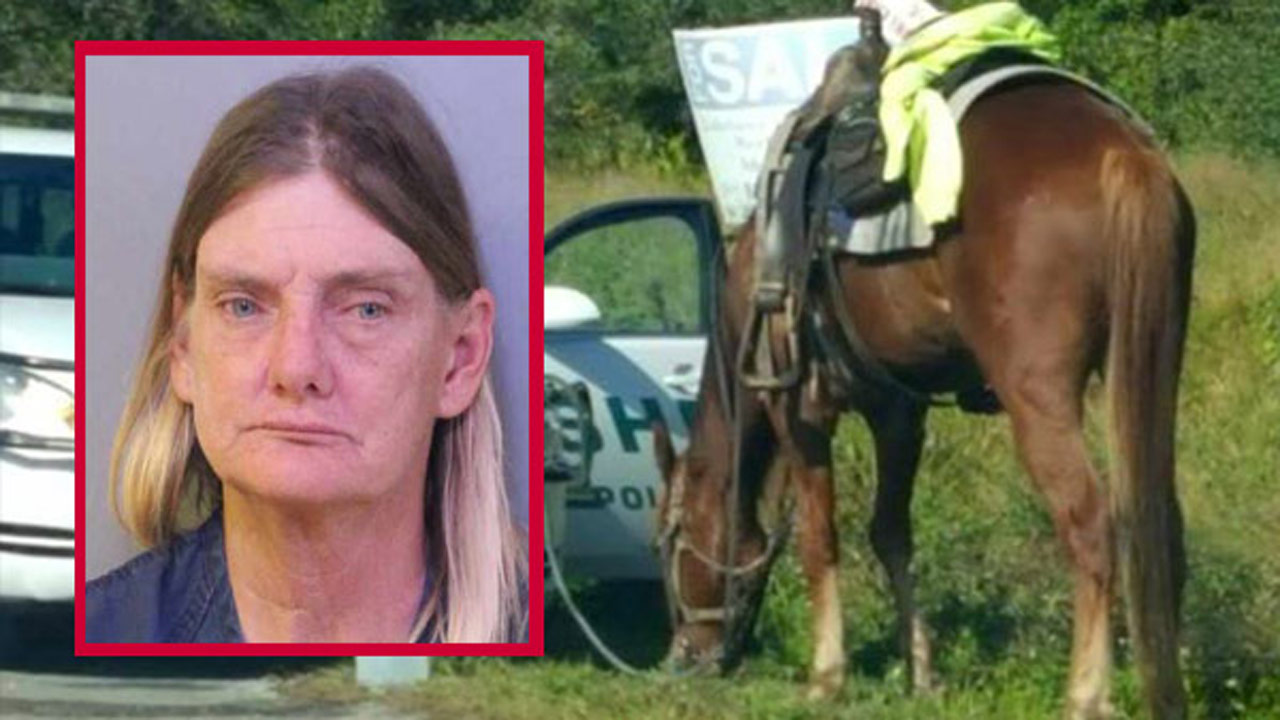 dui-horse_362829