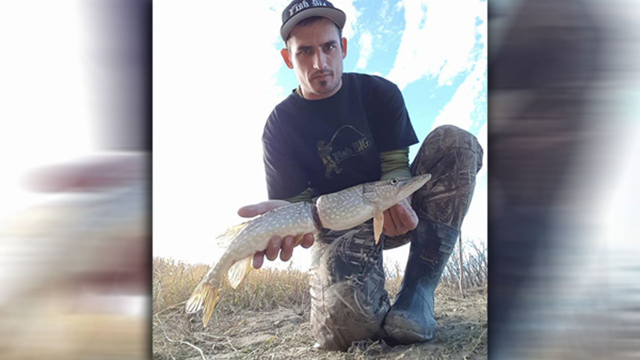 florida-fish_365528