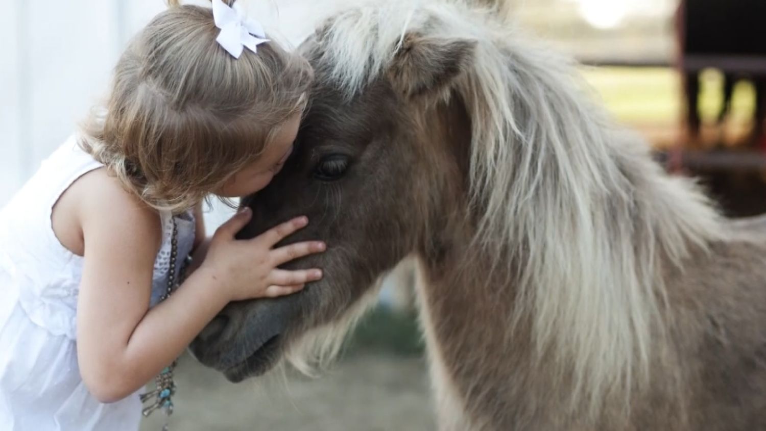 NC_ponykilled1109_1500x845_364468
