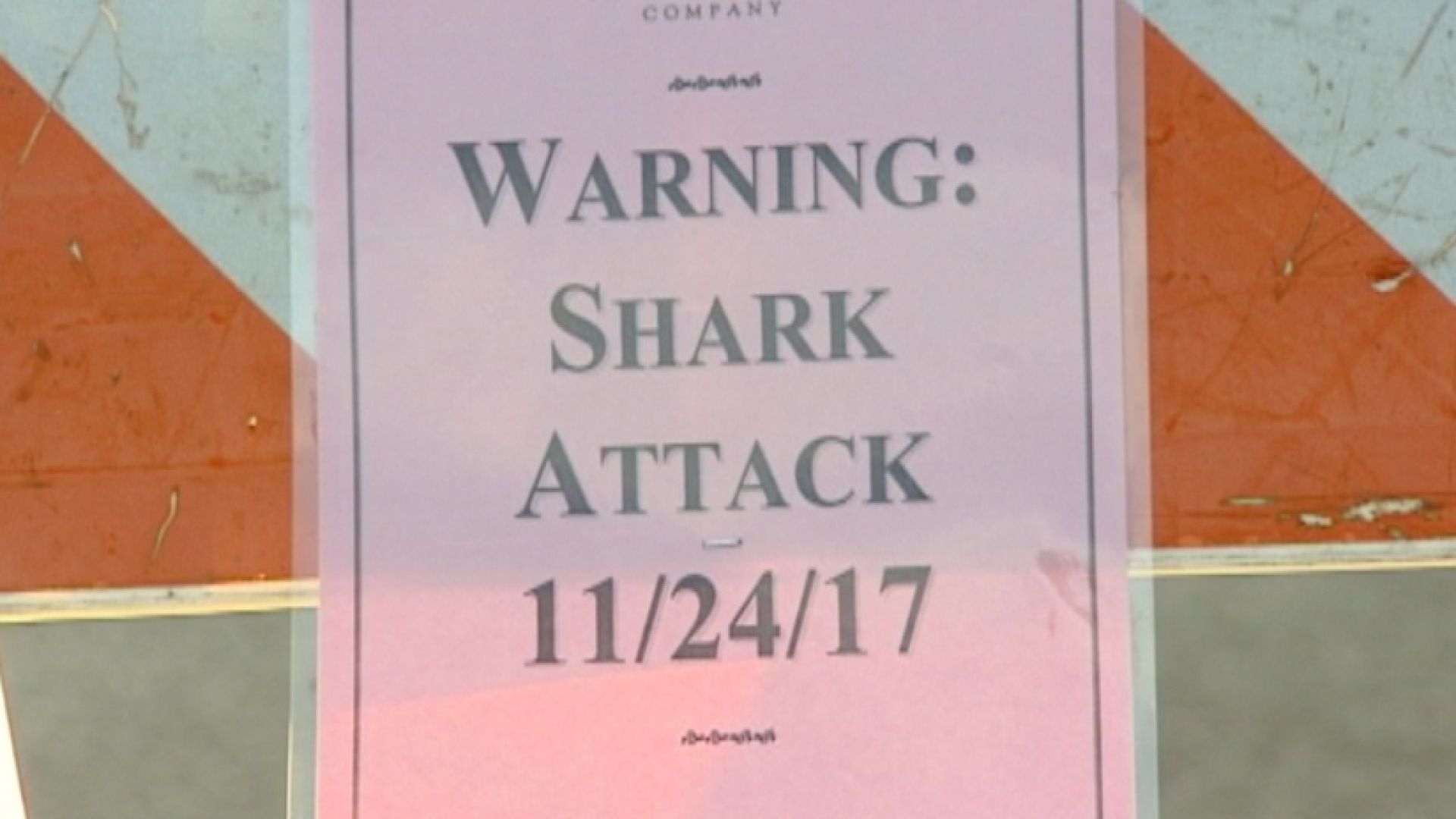 NC_sharkattack1127_1920x1080_368342