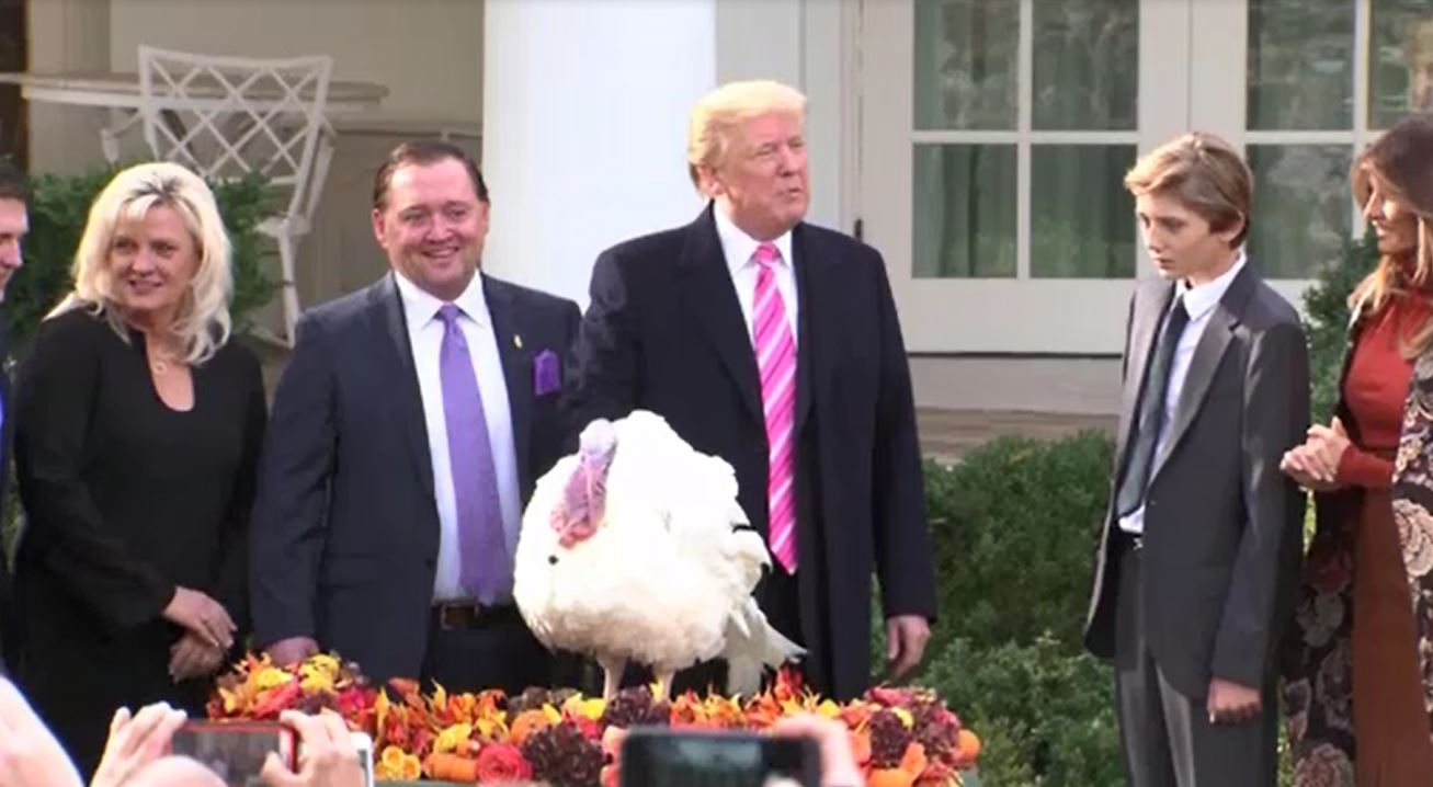 turkeypardon_367209