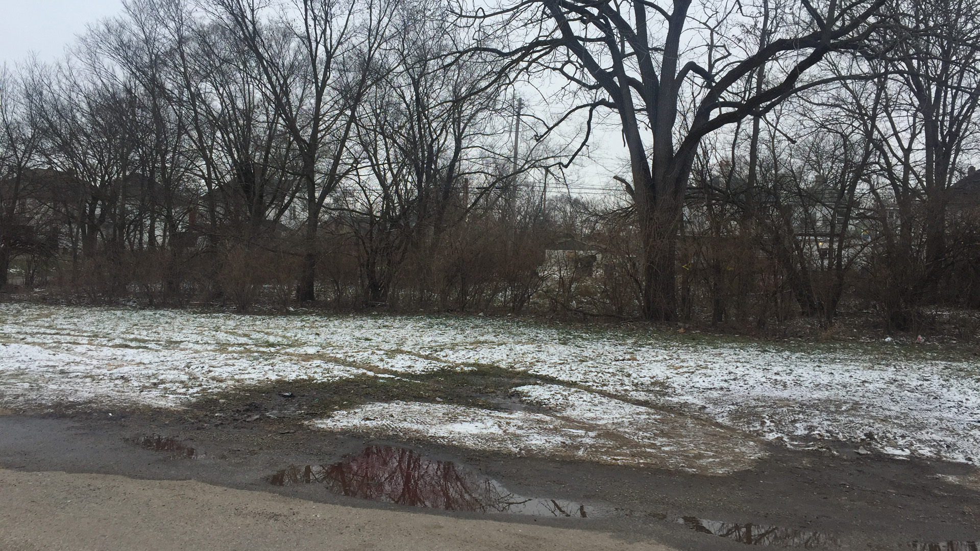 body found_374713
