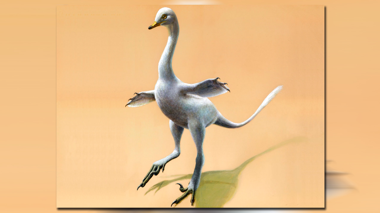 duck-dino_370169