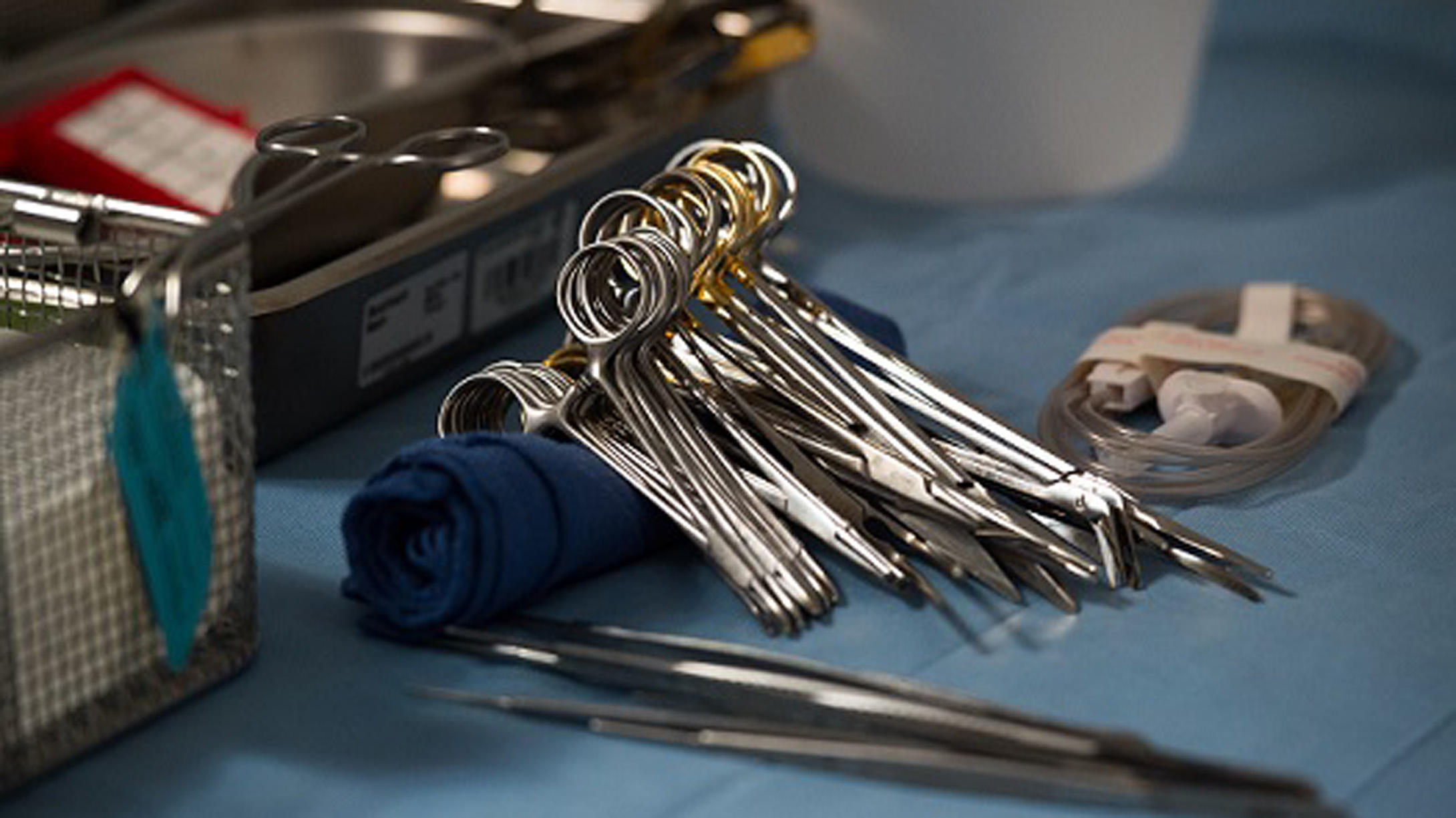 ORGAN TRANSPLANT_371864