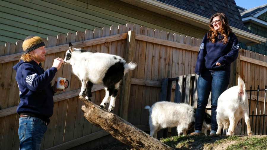 Support Goats-Ohio_370876