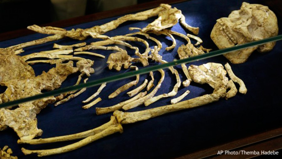 human-skeleton_370096