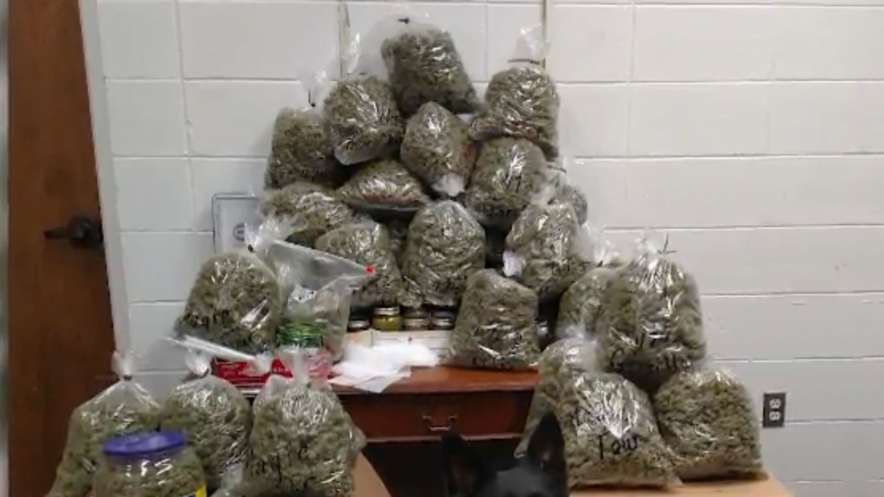 marijuana-bust_374187