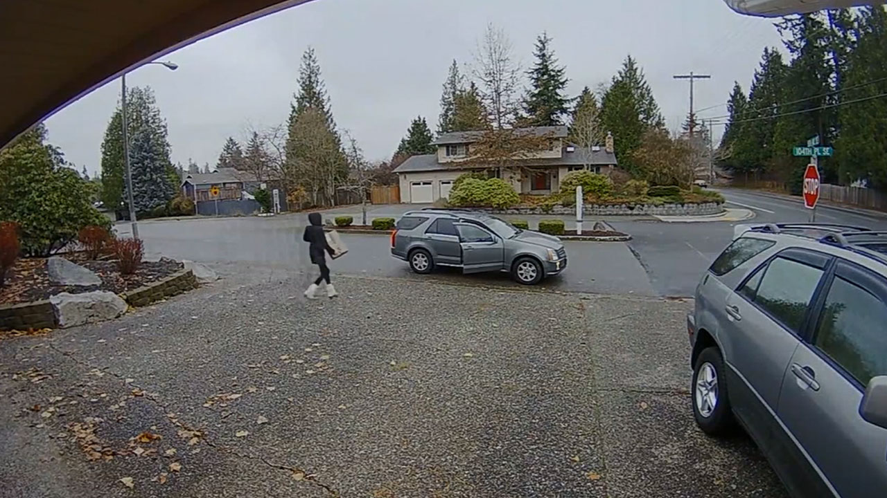 nanny-catches-porch-pirate_369288