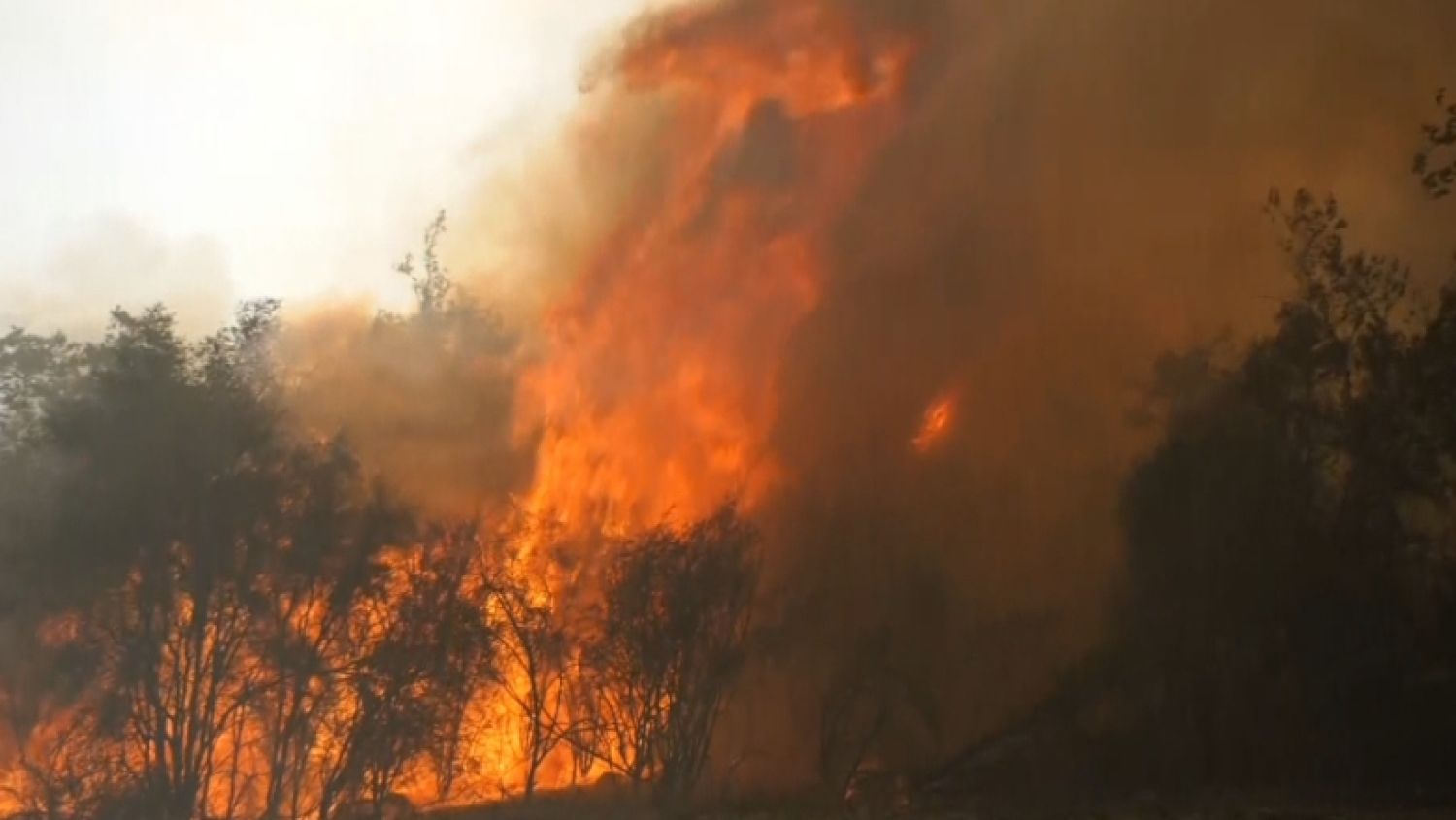 NC_cafires1215_1500x845_372394