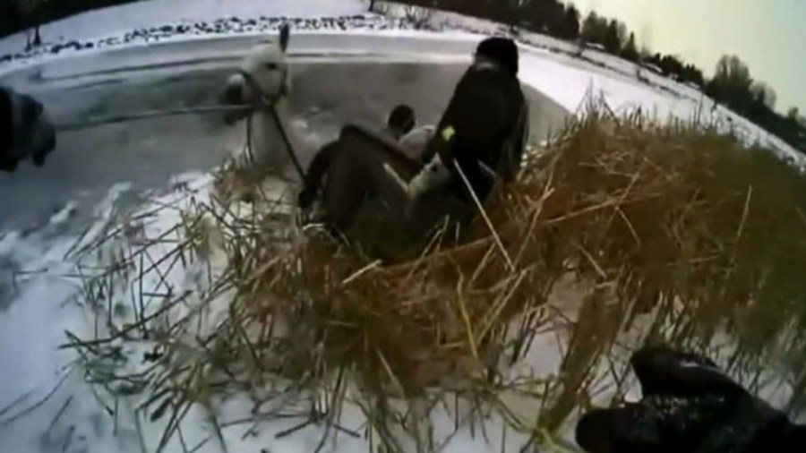 nc_horserescue1215_700x394_372475