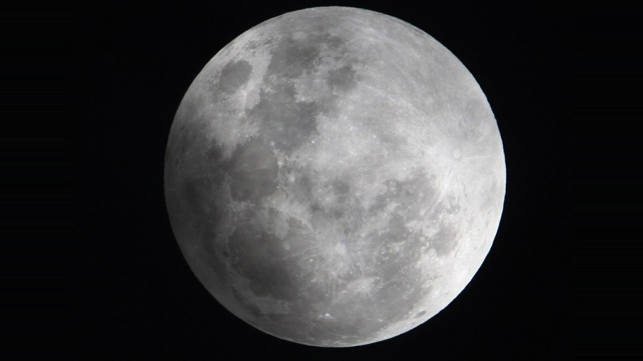 Night Sky Show_247413