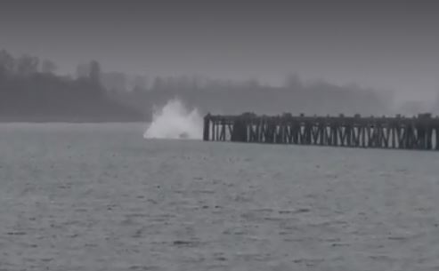 oregon pier_375169