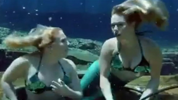 R-WEEKI-WACHEE-MERMAIDS-2–_375189