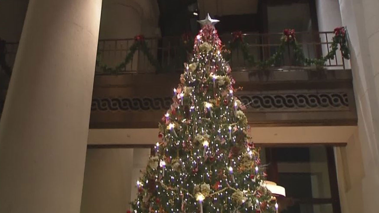 statehouse-tree_371148