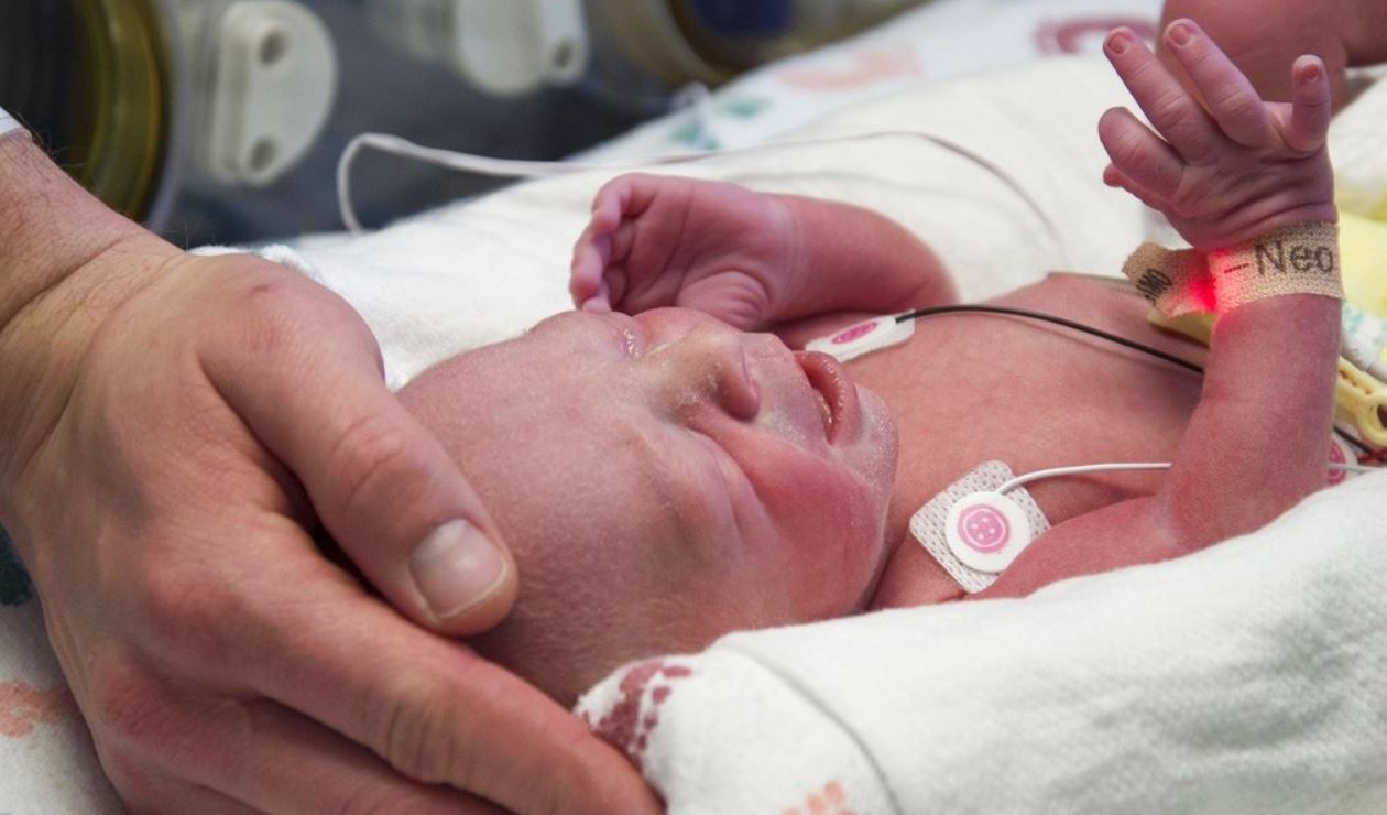 uterustransplant_369663