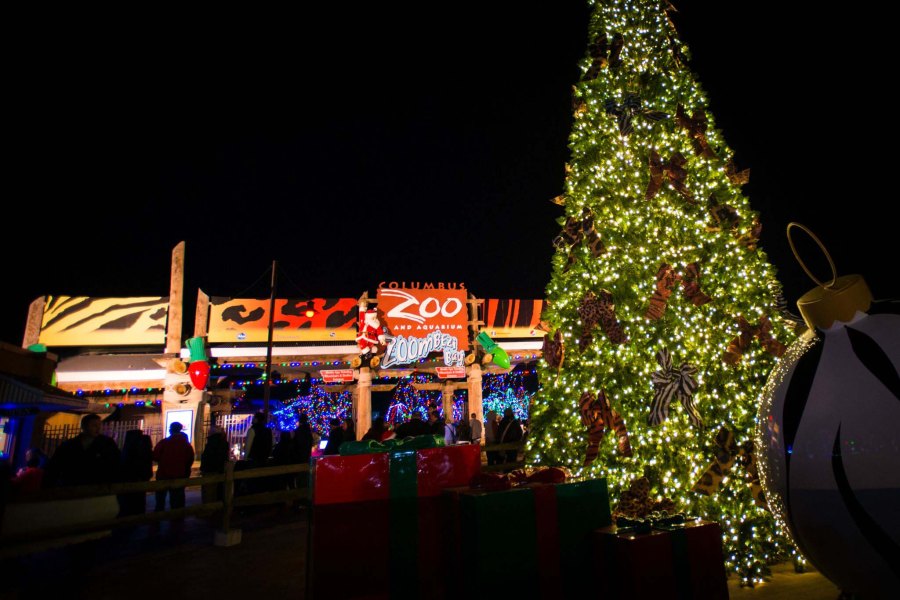 Wildlights 9674 - Amanda Carberry, Columbus Zoo and Aquarium_preview_365965