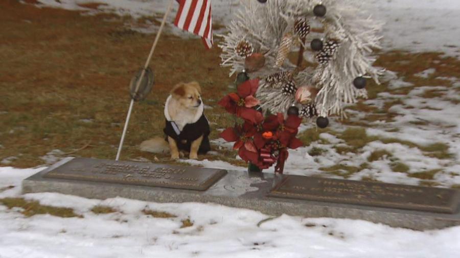 011118-doggrave-1280x720_379724