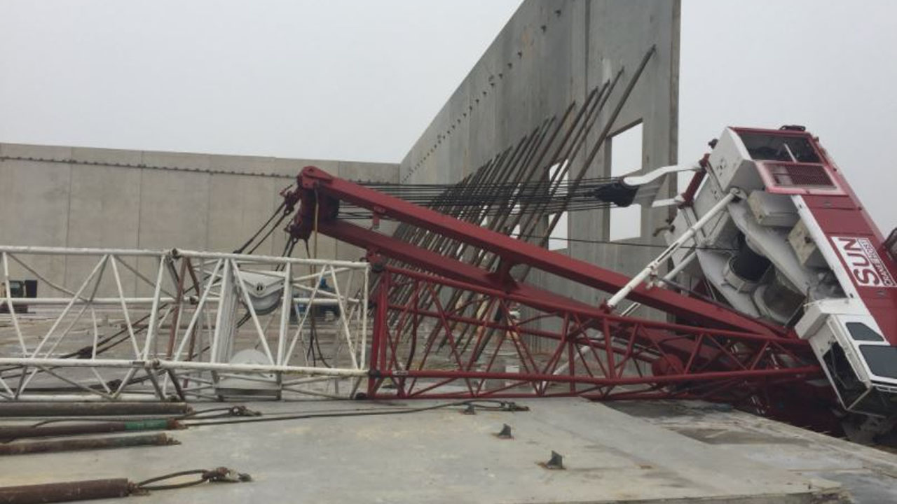 crane_378600