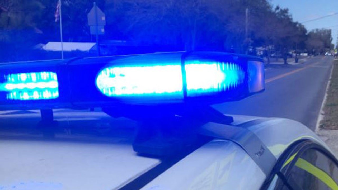 generic-police-lights_359028