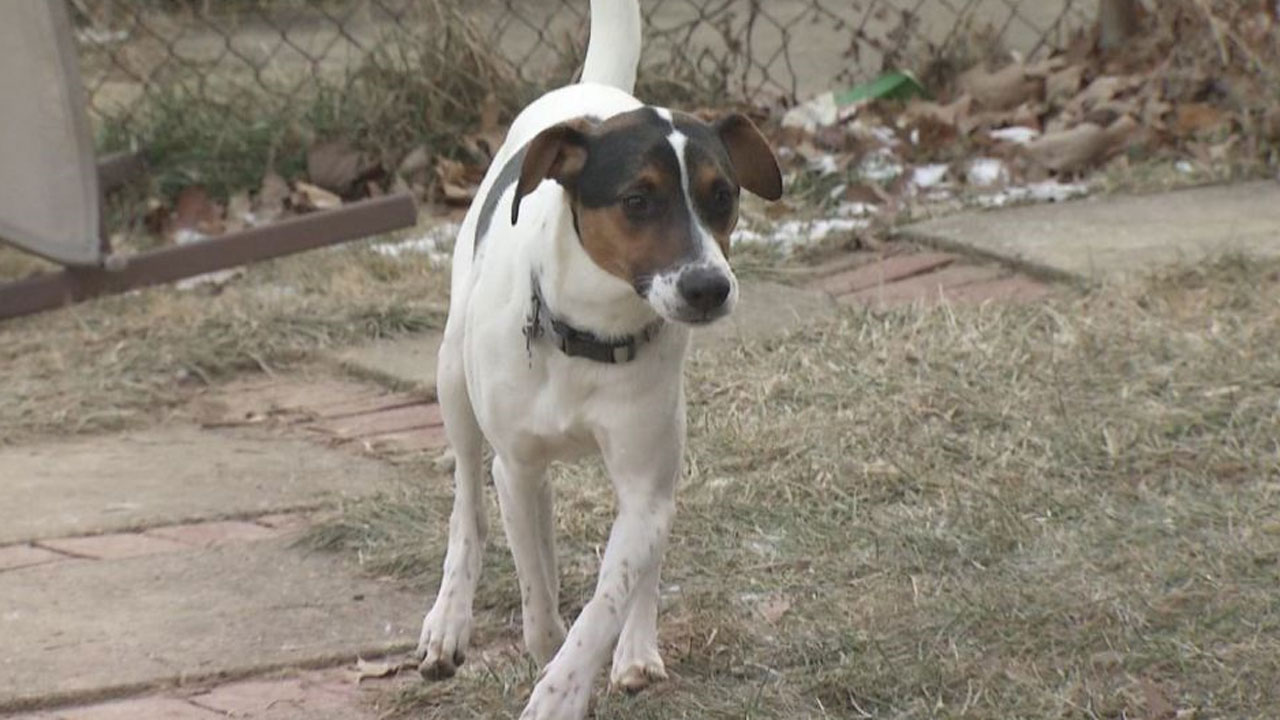 indy_377491
