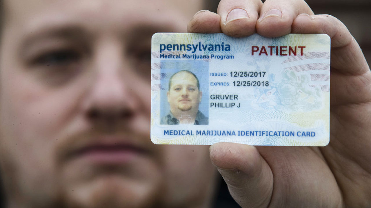 Medical Marijuana Guns_379945
