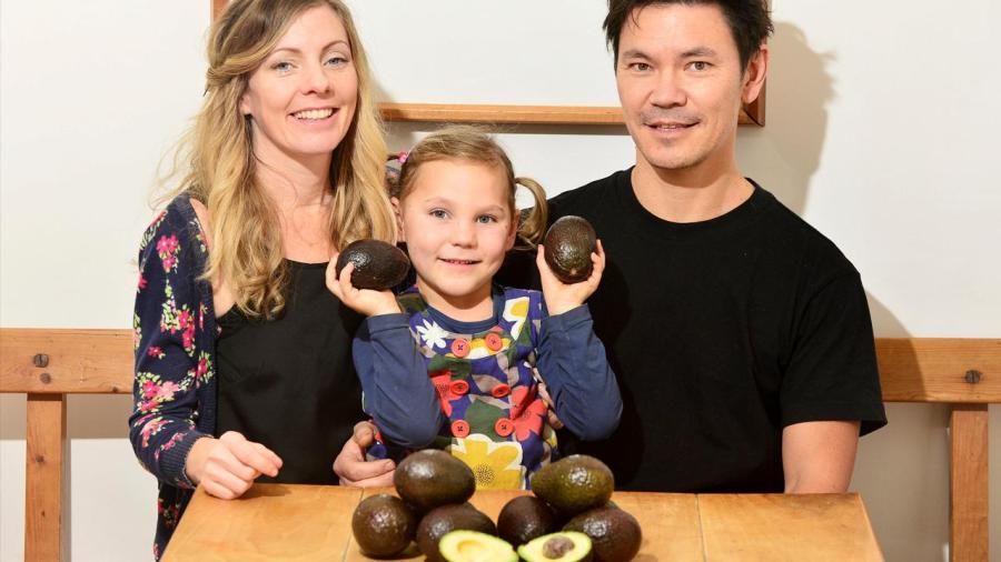 013118-avocados1280x720-recovered_385078