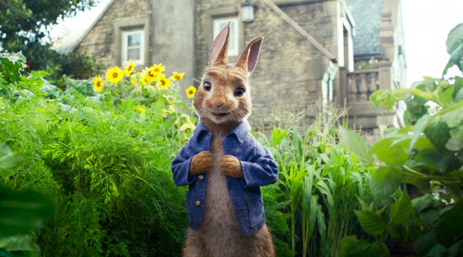 Peter Rabbit Allergy Backlash_391157