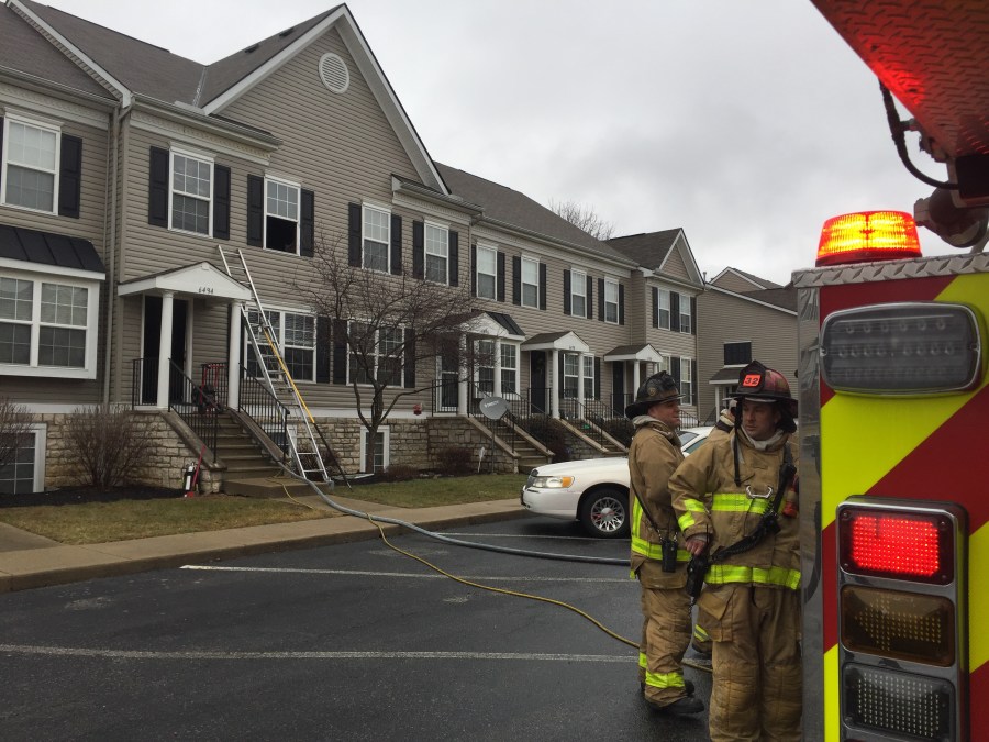 crab apple fire_386076