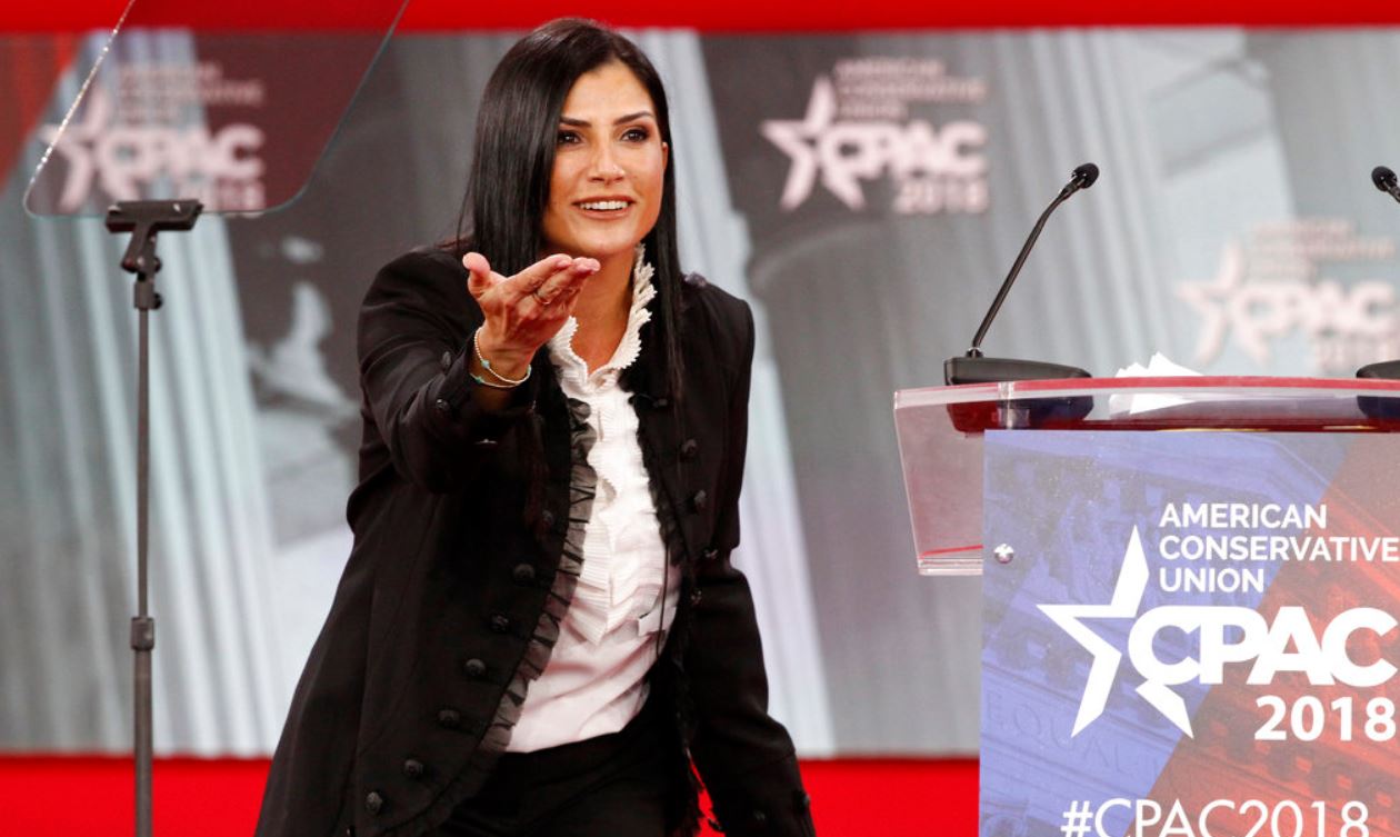 dana loesch_397161