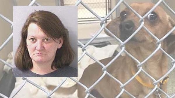 melissa-damico-1518625113_392166