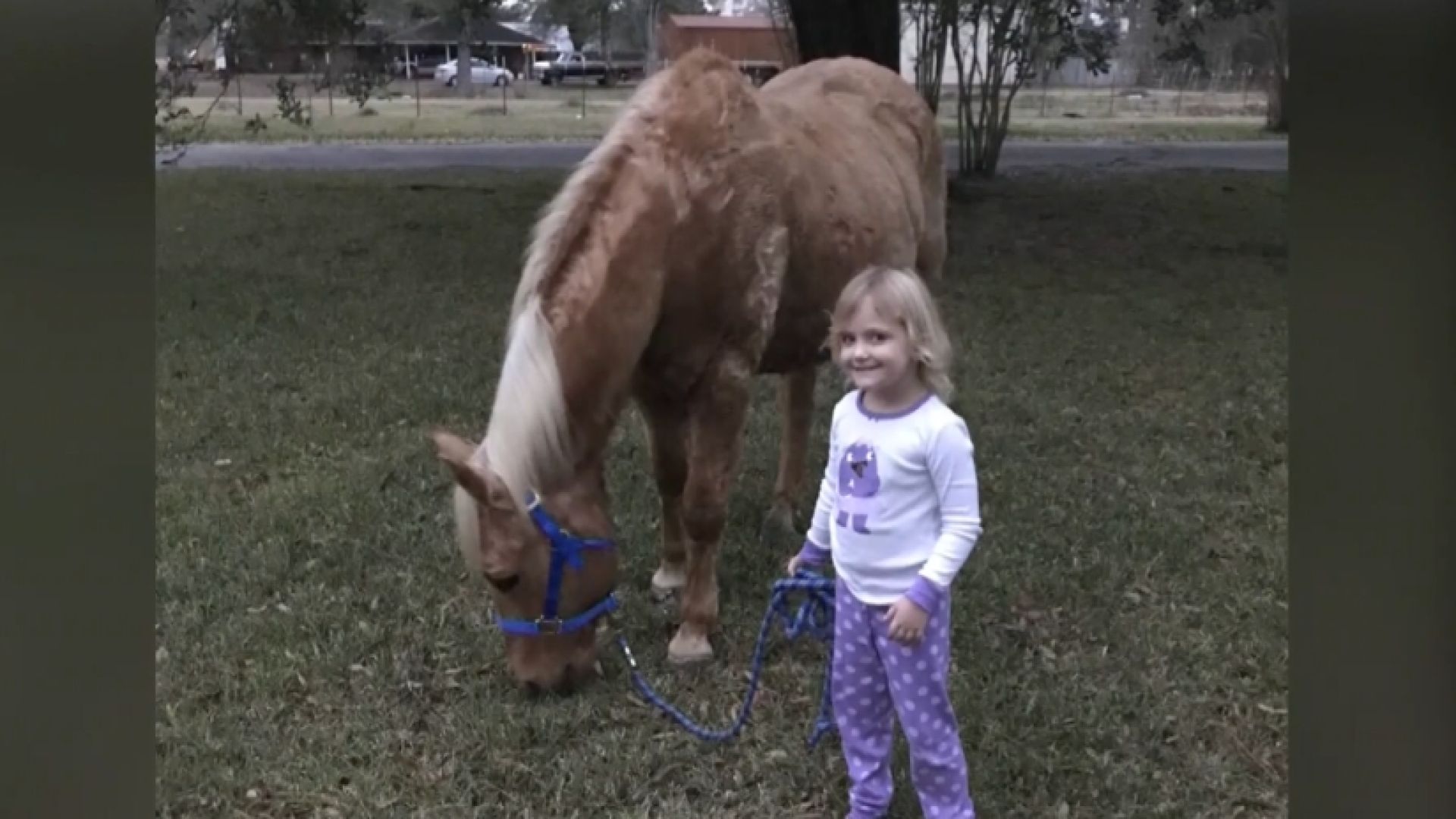 NC_horsemurder0221_1920x1080_395393