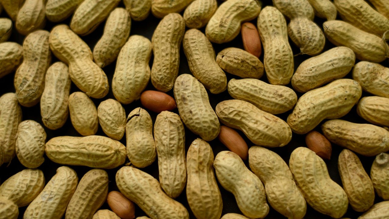 peanuts_202066