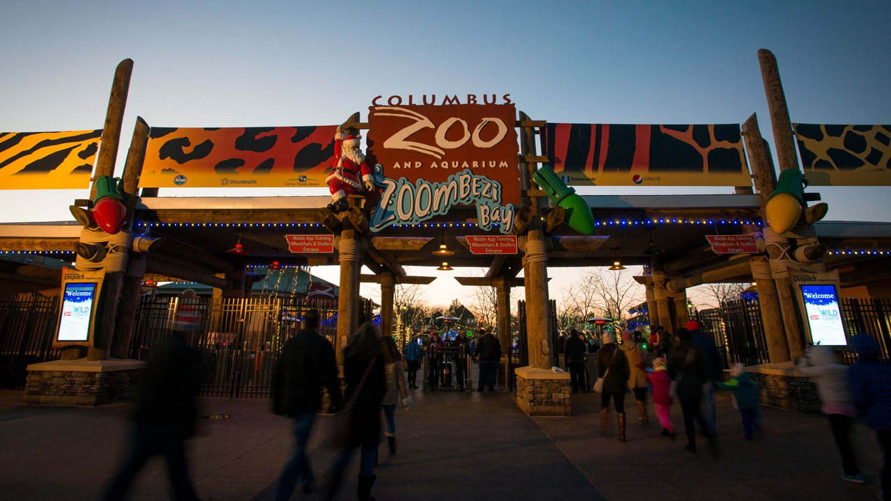 zoo_379177