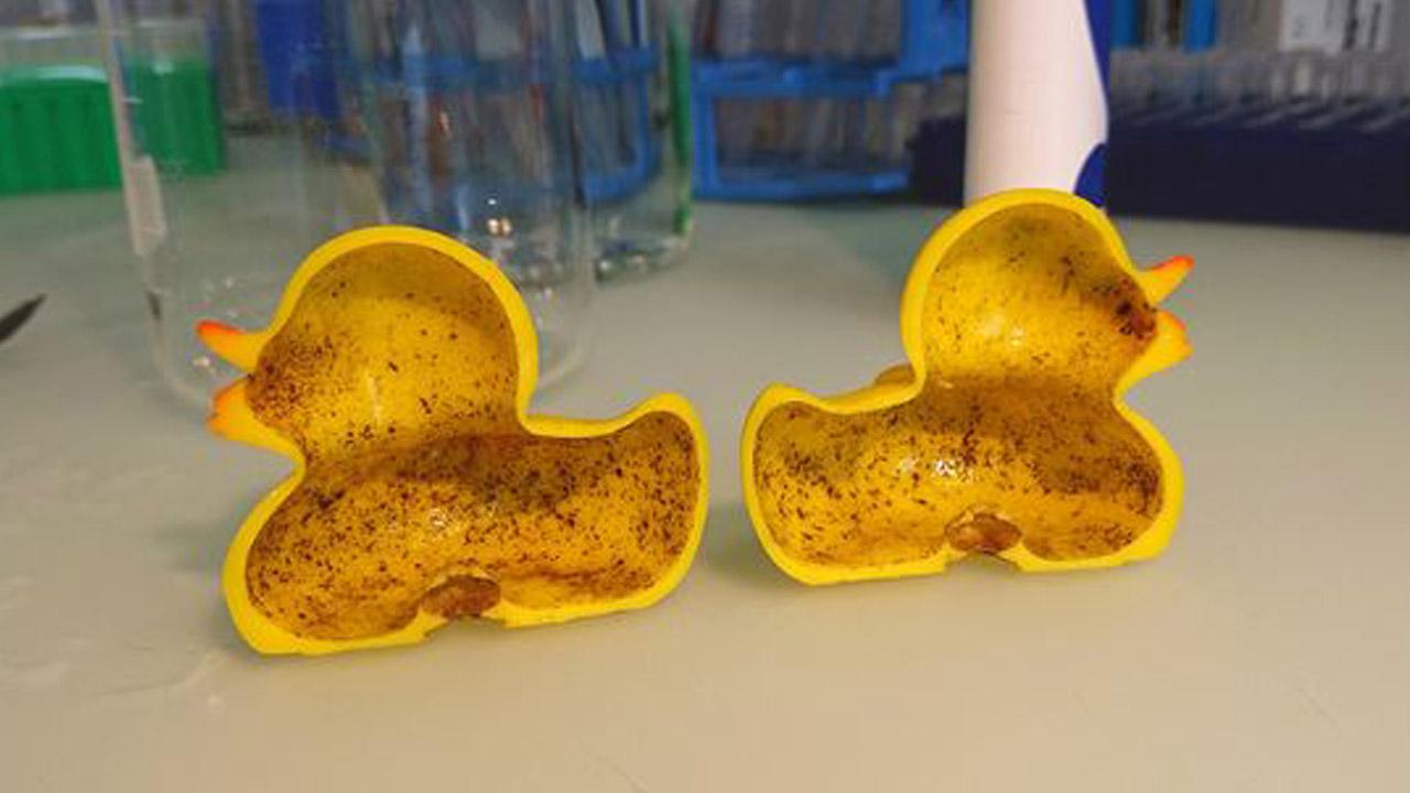 032818-rubber-duck-1280x720_405192