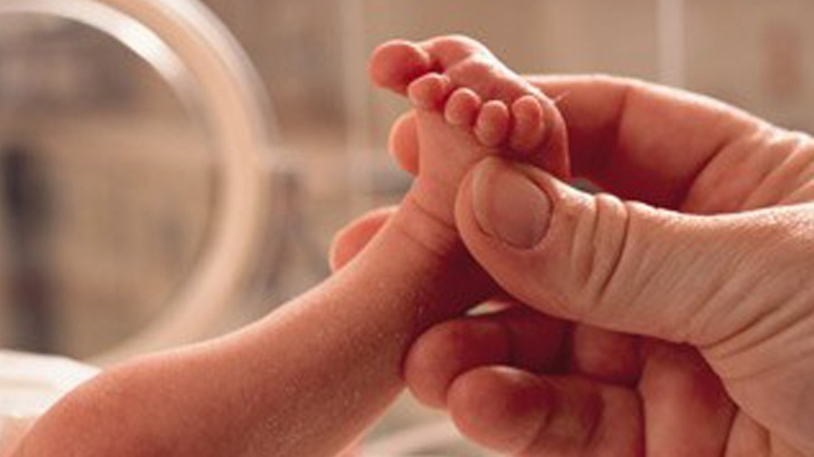 babyweb_232316