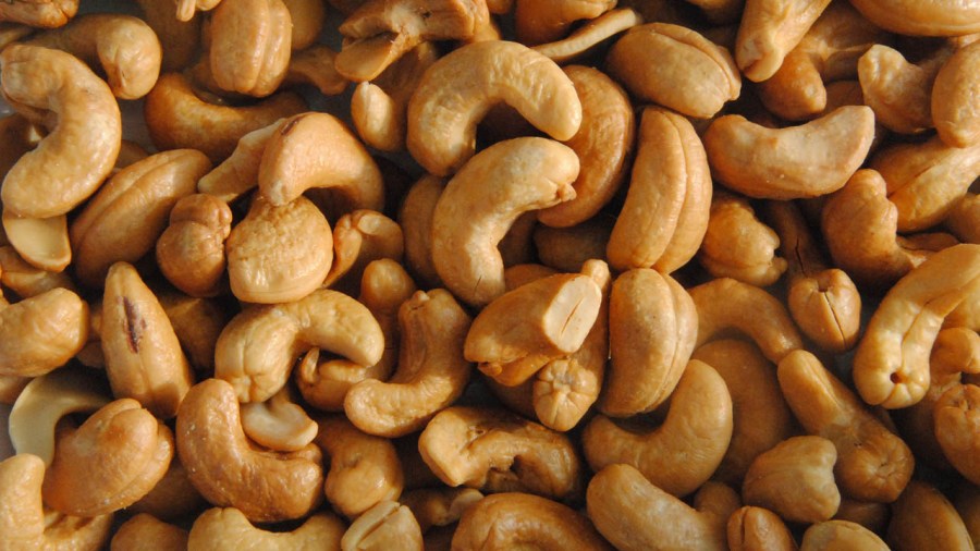 cashews_399933