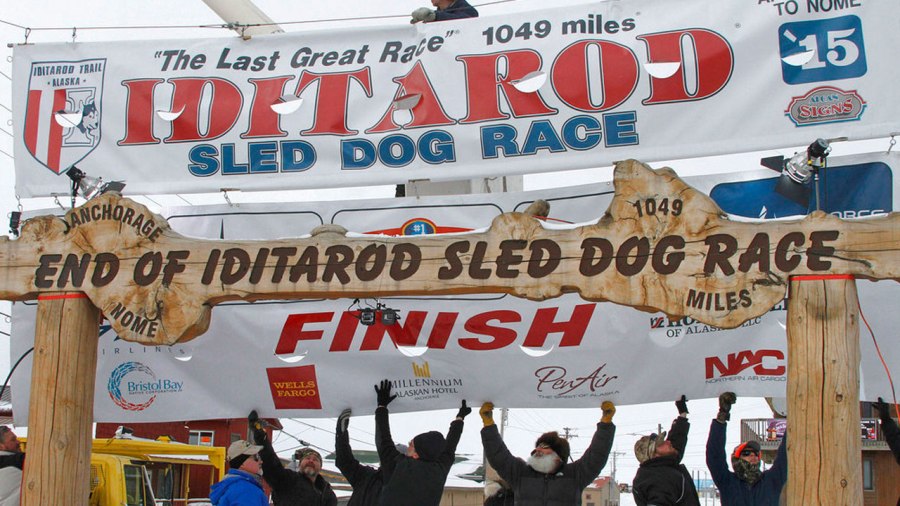 iditarod_398546