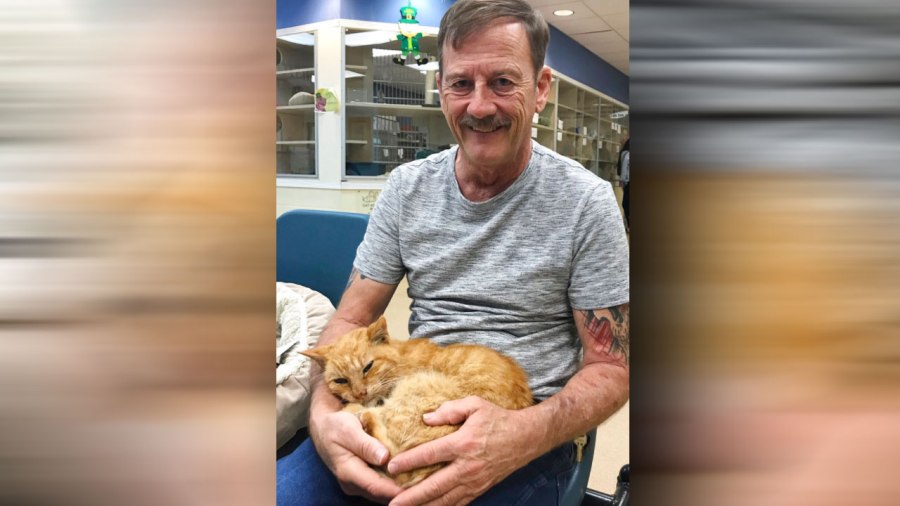 man-reunited-with-cat_404421