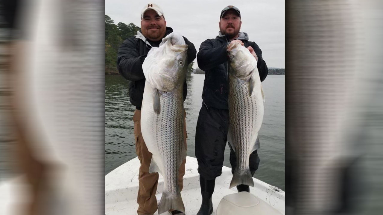 trophy-fish_404640