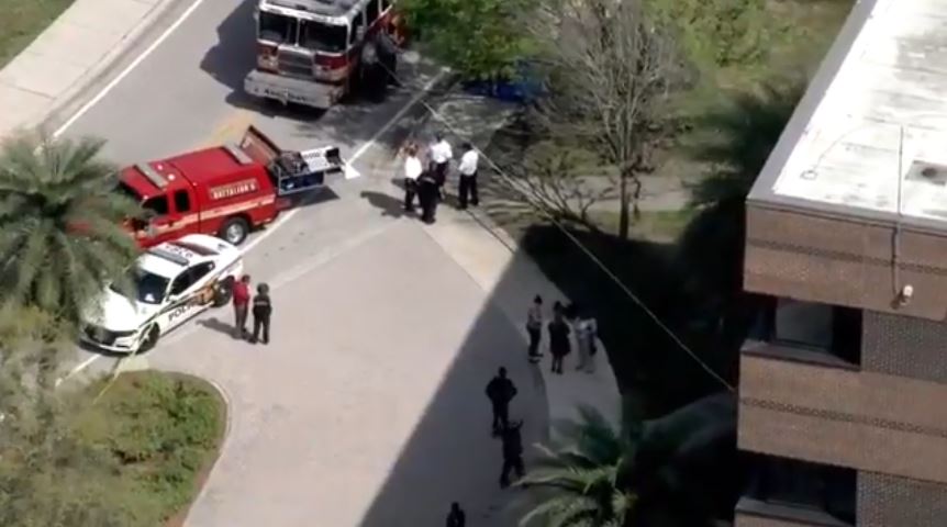 ucf wfla_398602