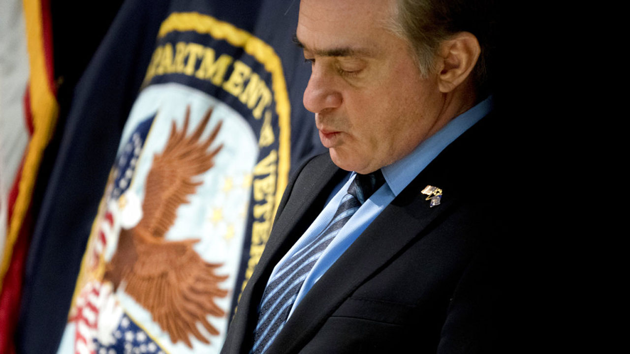 David Shulkin_399962