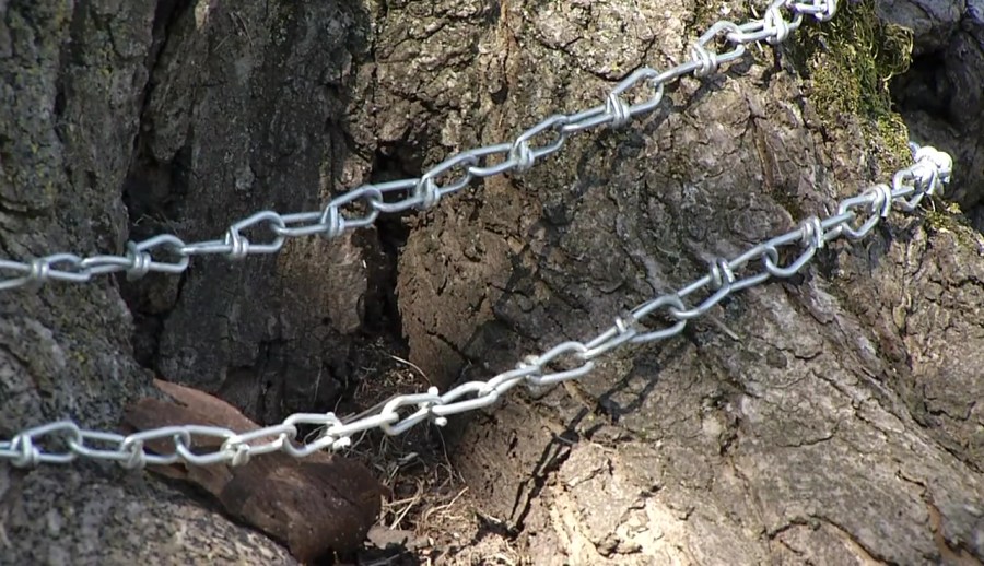 vlcsnap-2018-03-19-18h34m48s951_402926