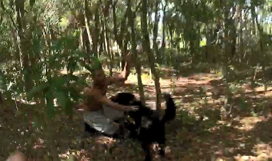 Pasco K9's dramatic takedown caught on video_1523646084930.jpg-846652698.jpg