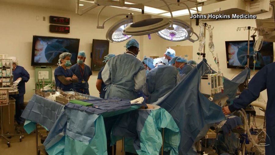 penile-transplant_1524528501830.jpg