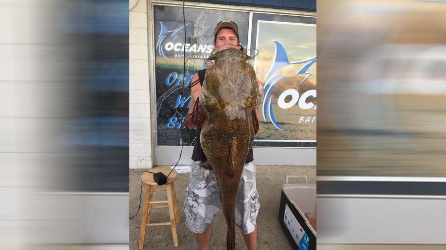 catfish_1527649804858.jpg