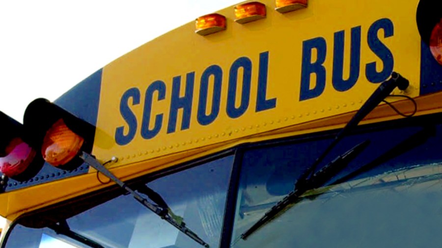 generic school bus_174448
